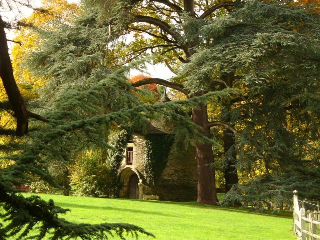 Manoir De Tregaray Hotell Sixt-sur-Aff Exteriör bild